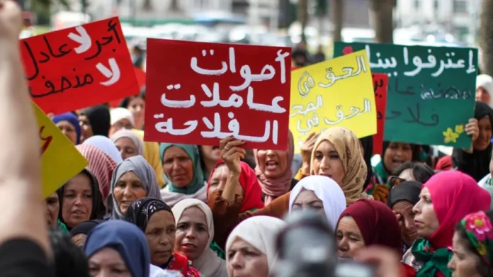 الاعتراف بمهنة عاملة فلاحية في تونس بين النص والواقع